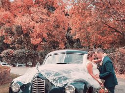 packard 100723 colored